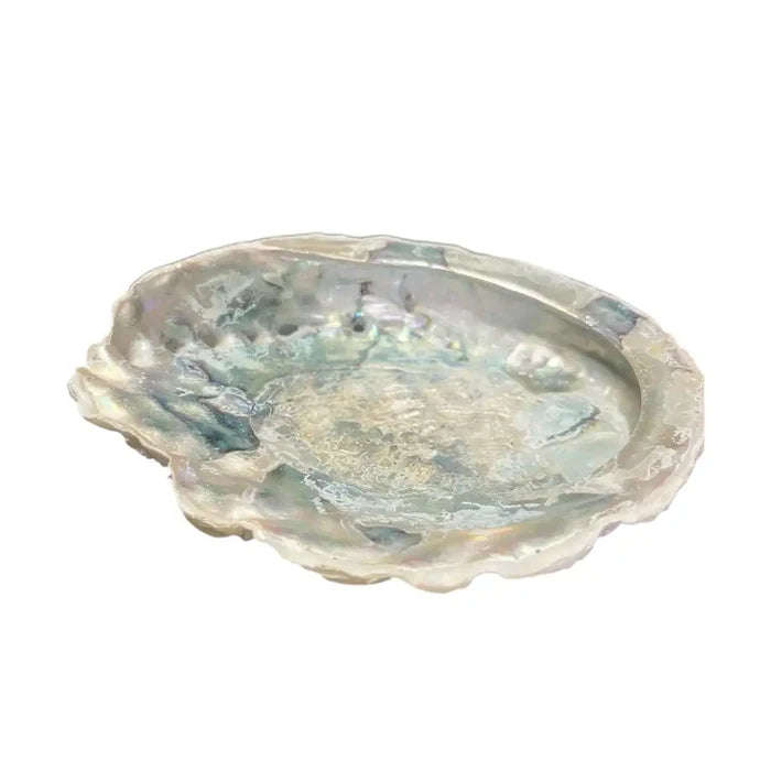 Abalone shell