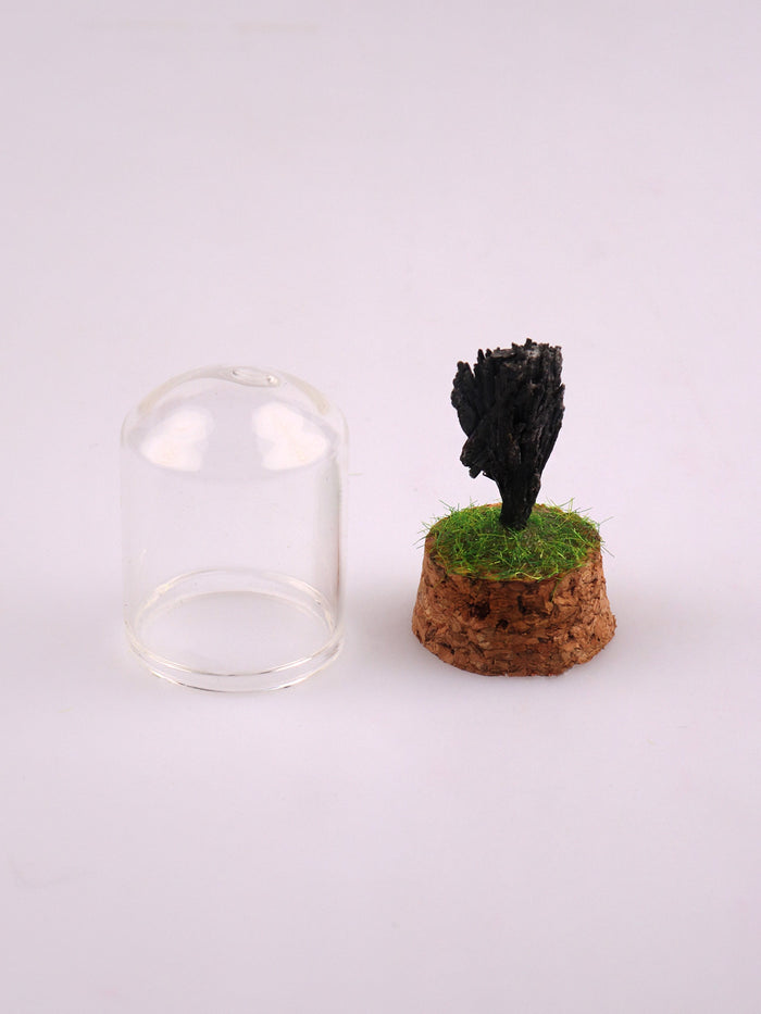 Gemstone & Mineral Glass Dome | Black Kyanite-Image 2