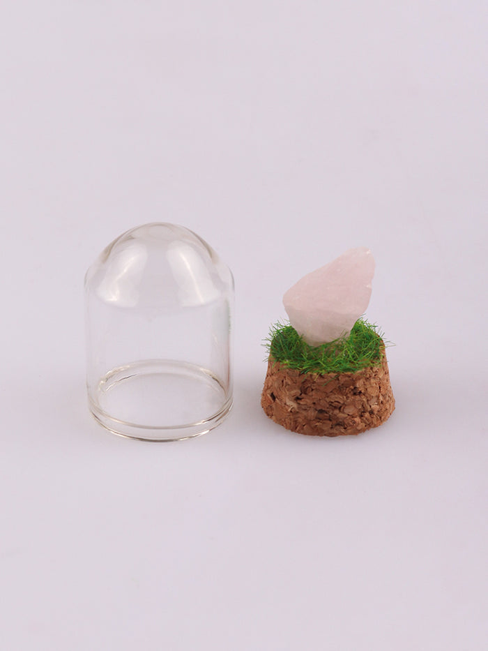 Gemstone & Mineral Glass Dome | Rose Quartz-Image 2