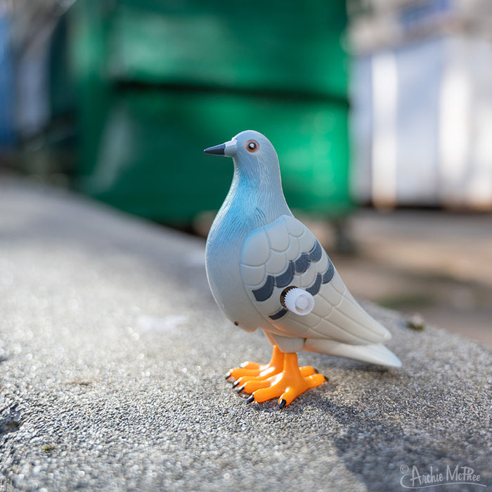 A Wind-Up Perky Pigeon is placed outdoors on a concrete surface.
