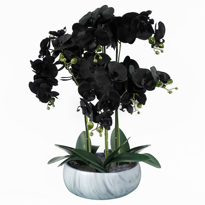 60cm Orchid Artificial Black - White Ceramic Planter - Premium Quality-0