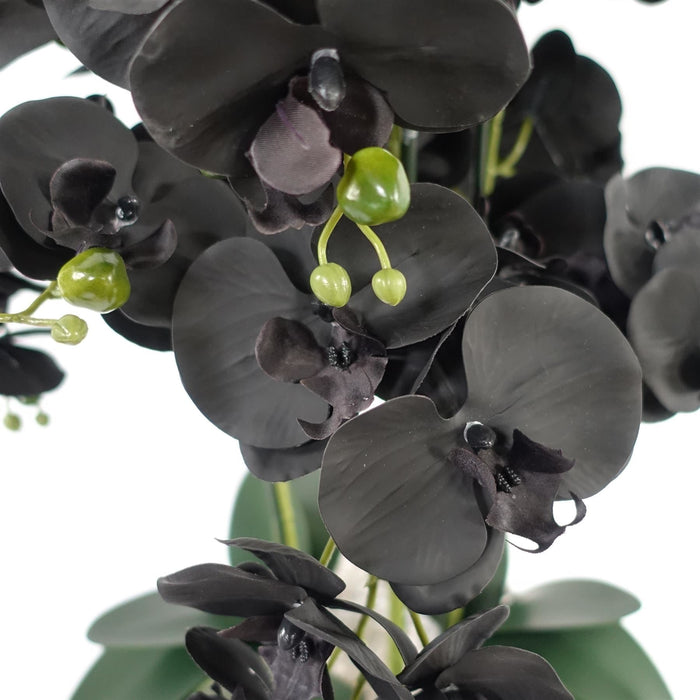 60cm Orchid Artificial Black - White Ceramic Planter - Premium Quality-1