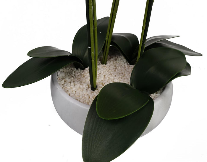 60cm Orchid Artificial Black - White Ceramic Planter - Premium Quality-2