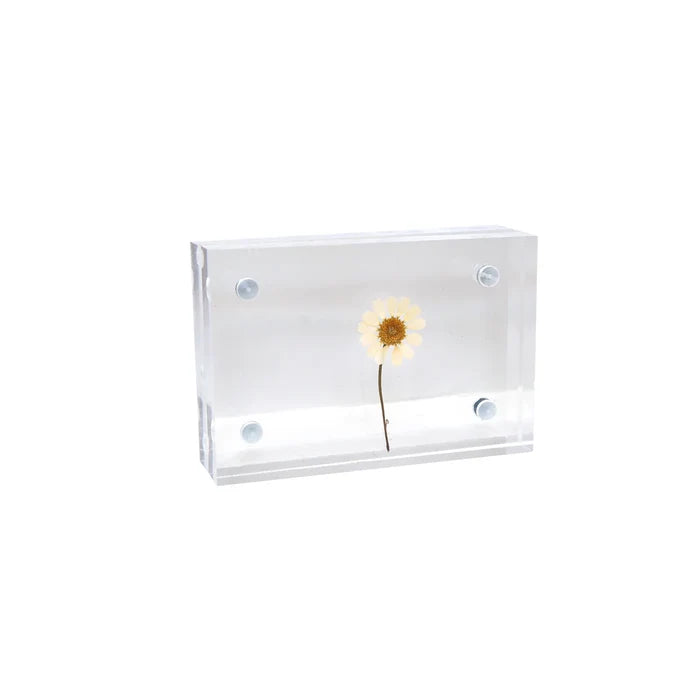 Acrylic Standing Frame- 4"x6"