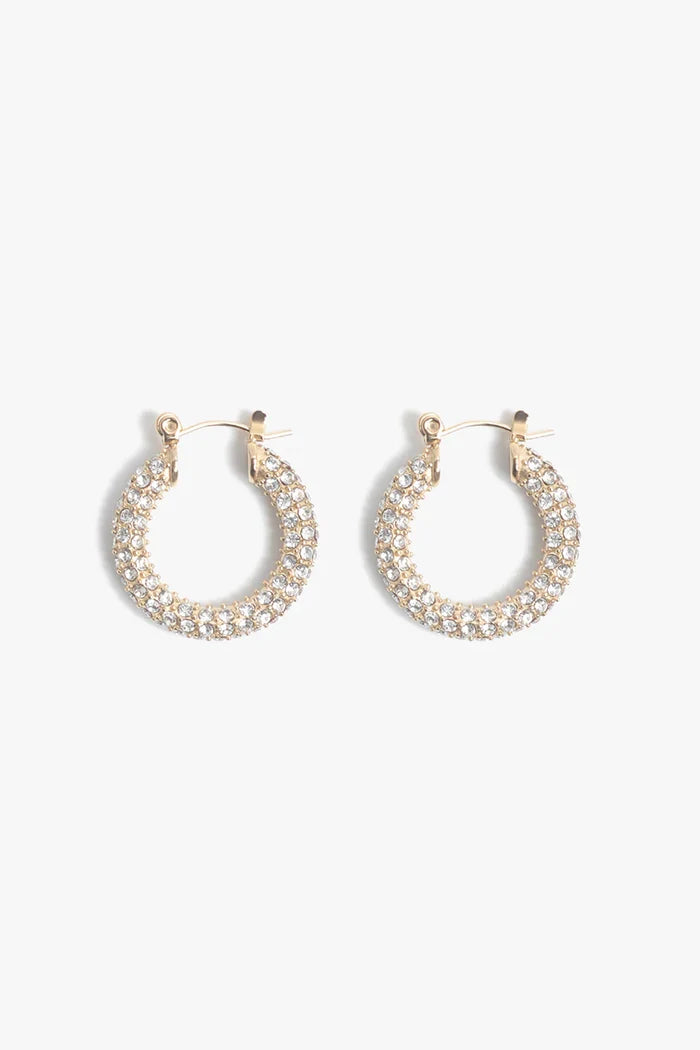Audrey Hoops- Pave