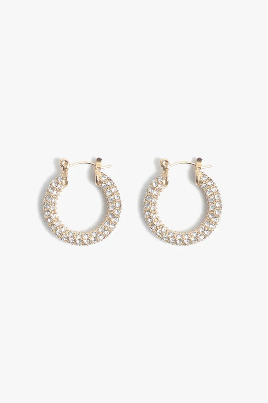 Audrey Hoops- Pave