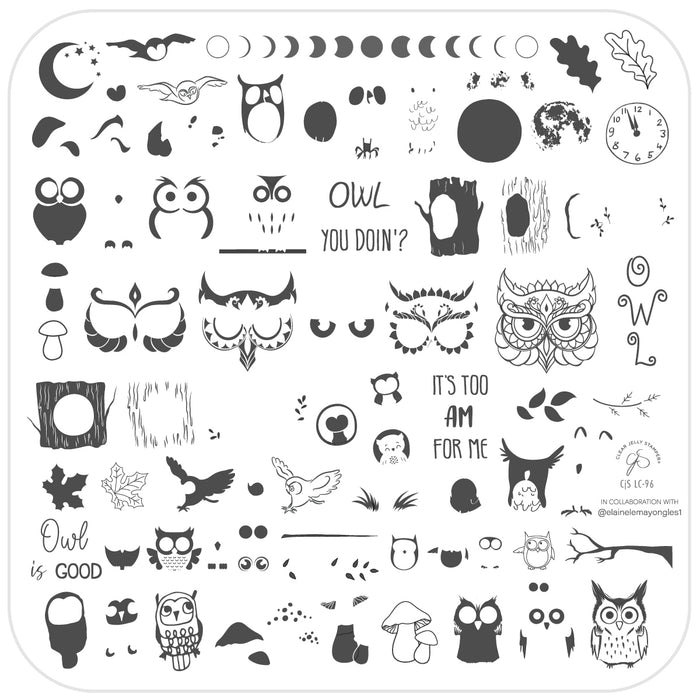 CJSLC-096 - Owl is Good   | Clear Jelly Stamping Plate