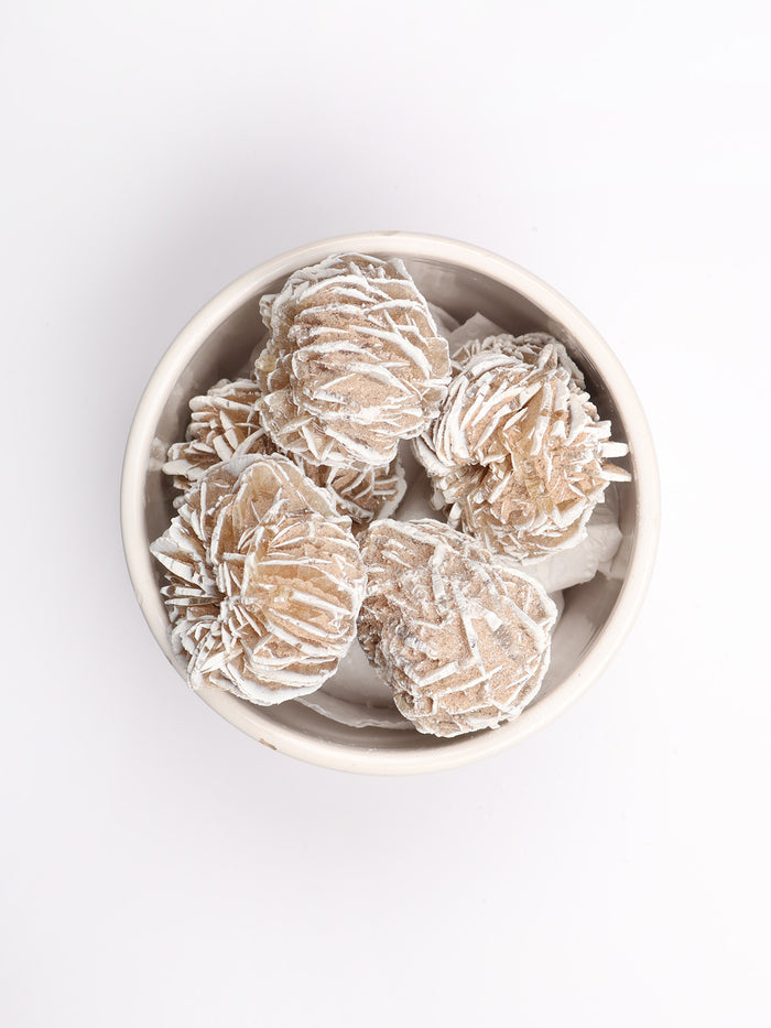 Desert Rose Large | One Colour-Image 2