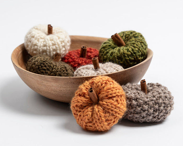Fall Festival Mini Pumpkins by Bobbi IntVeld