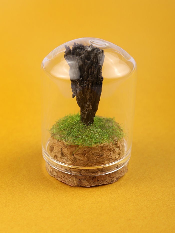 Gemstone & Mineral Glass Dome | Black Kyanite-Image 1