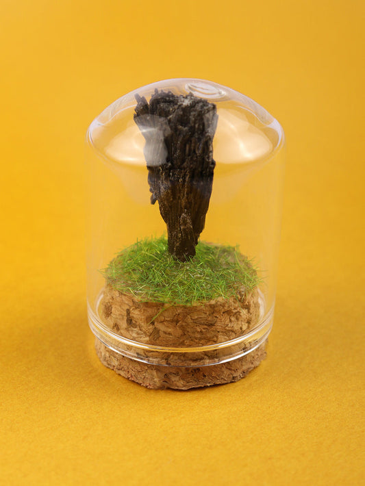 Gemstone & Mineral Glass Dome | Black Kyanite-Image 1