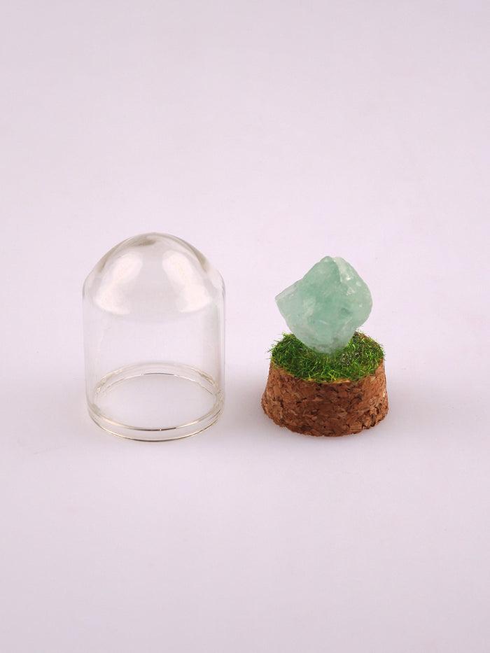 Gemstone & Mineral Glass Dome | Fluorite-Image 2