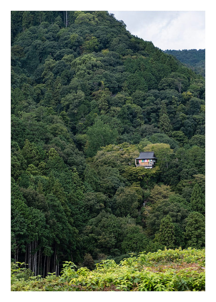 Kyoto by Robin Skjoldborg