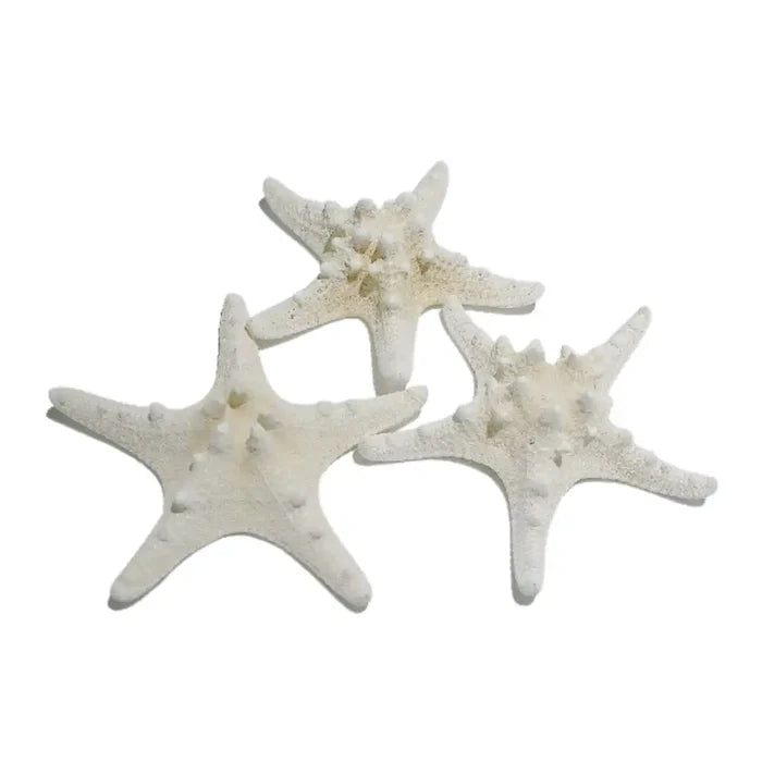 Large Starfish