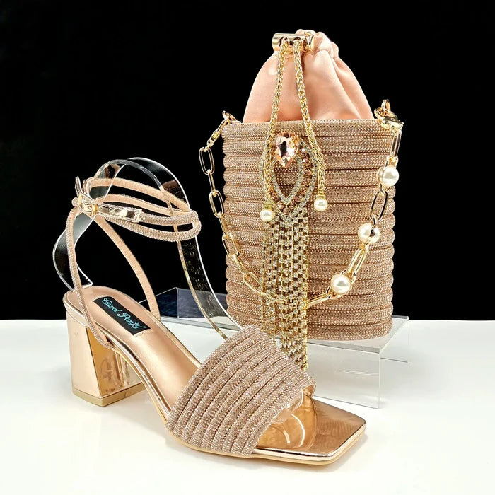 Lastest Ladies Shoes with Matching Bag Set  HJJ1-23