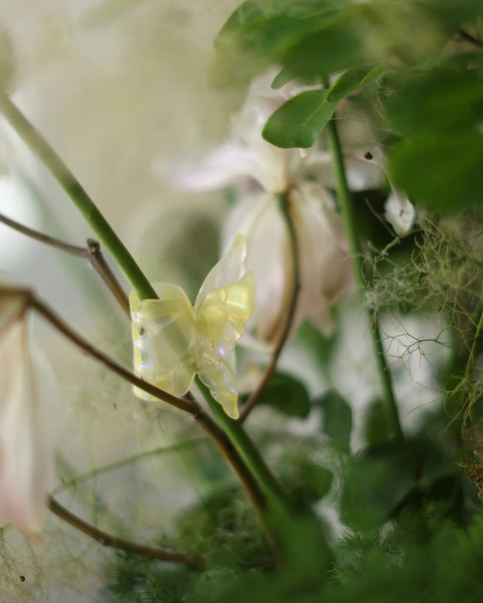 Dew