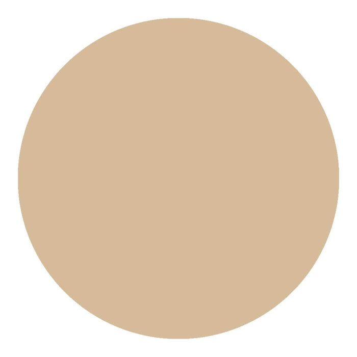 Shade Natural of Kylie's Professional Mineral Goddess Concealer. Suits all skin types and mid-range complexions.