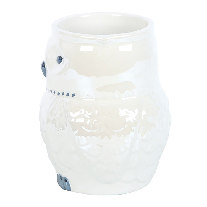 Owl Shaped Iridescent Mug 🇬🇧