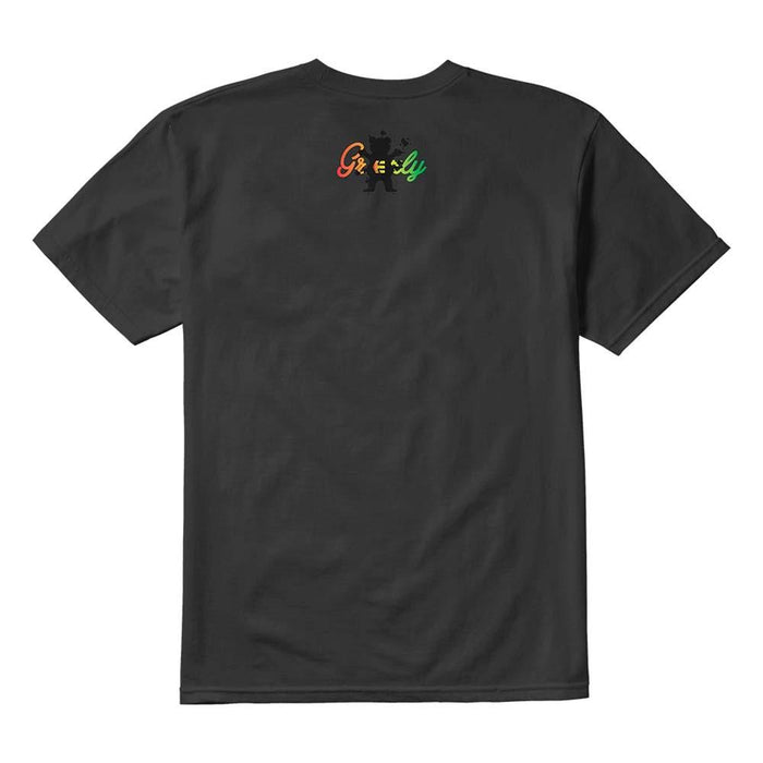 Polera Grizzly Ecorp Tee black
