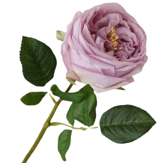 real touch cabbage rose, English Austin rose stem, mauve lavender rose, artificial English rose, premium faux florals, luxury artificial flowers, romantic faux roses, garden style rose stem