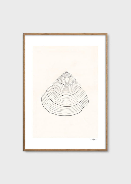 Shell by Ana Frois