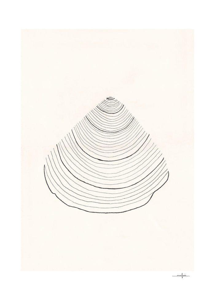 Shell by Ana Frois
