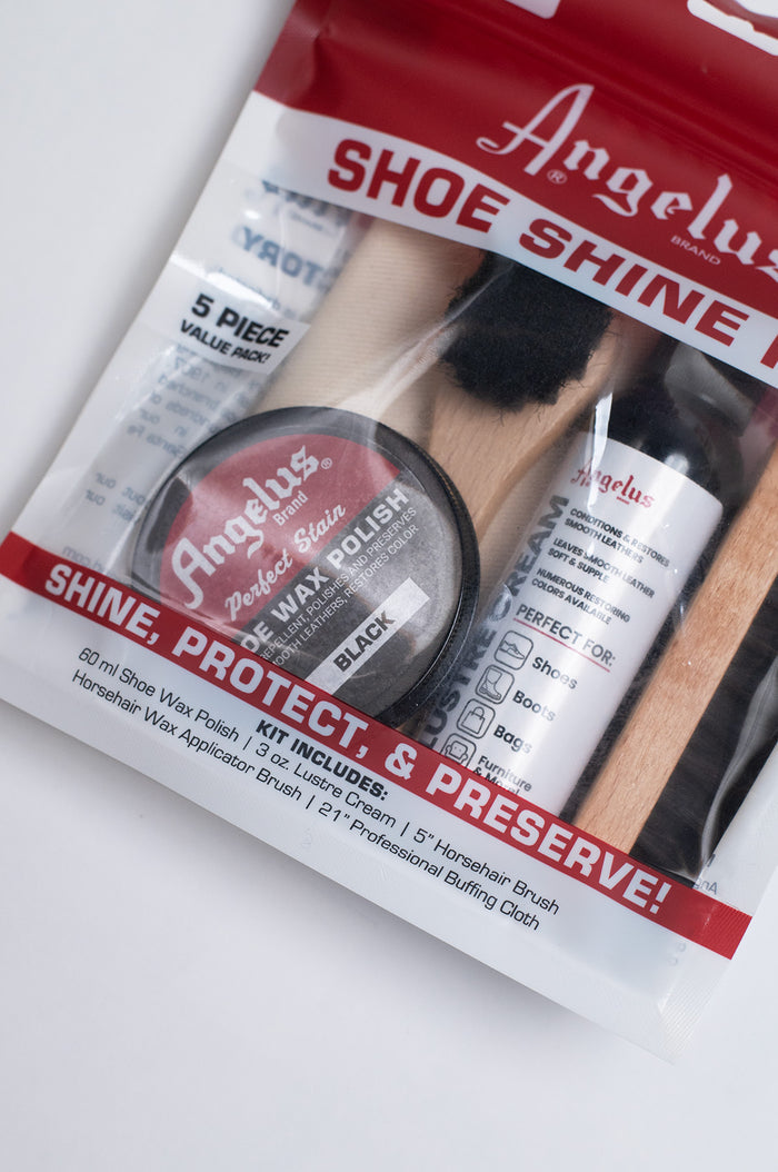 Shoe Shine Travel Kit