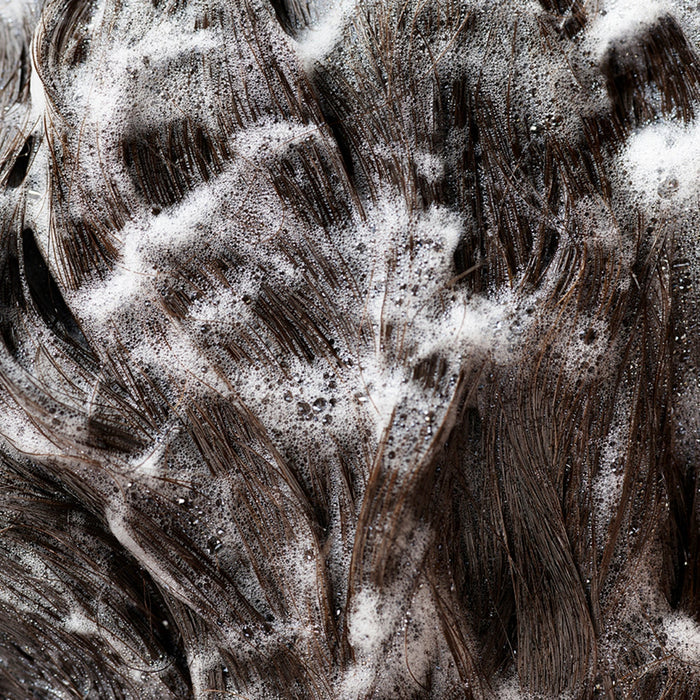 Signature Shampoo