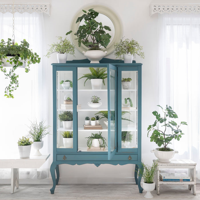 Terrarium