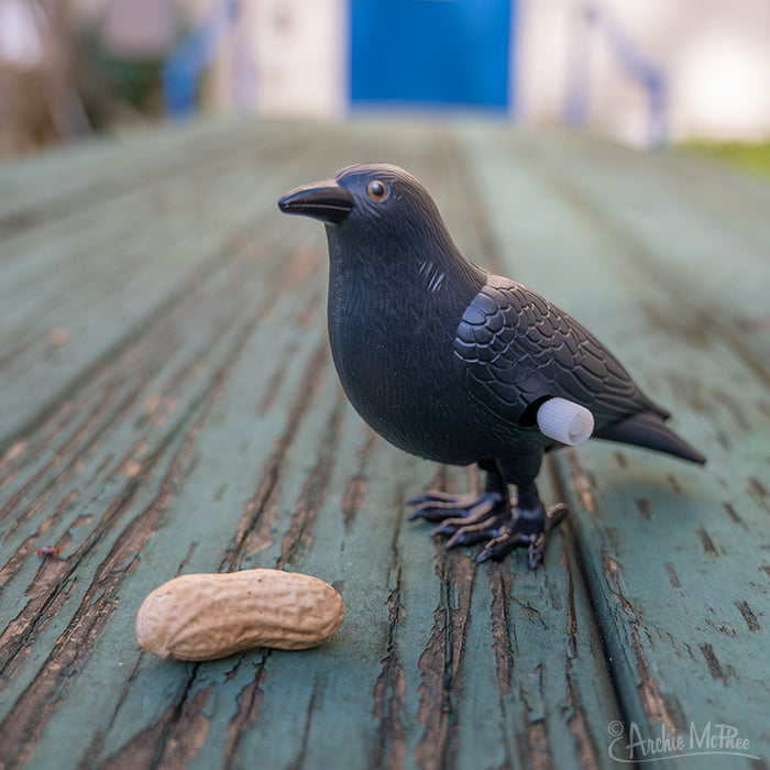 The Wind-Up Crazy Crow toy stands on a wooden surface in a playful mood, with a peanut in its shell nearby.