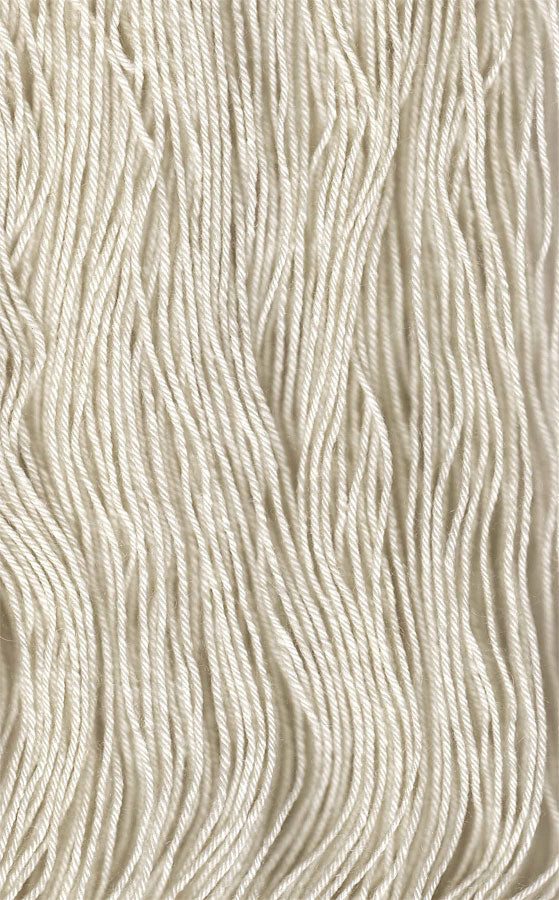 Yarn #62 - BFL 4-ply Sock